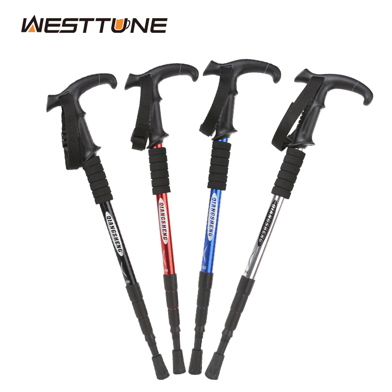 Canne de randonnée pliante en  - Trekking Pole Carbon avis et prix