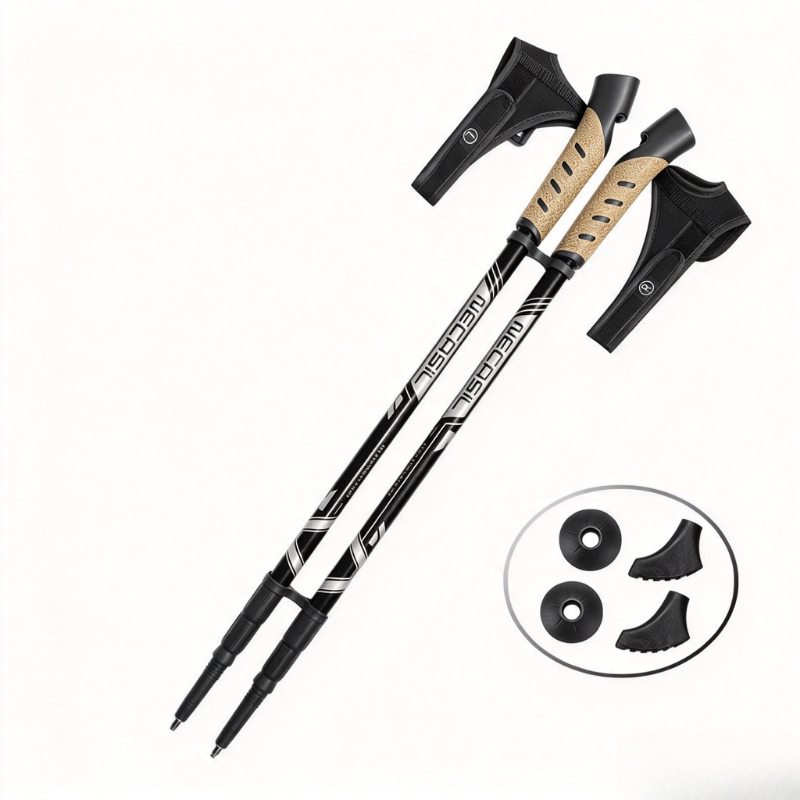 2 bâtons de randonnée télescop - Trekking Pole Carbon avis et prix