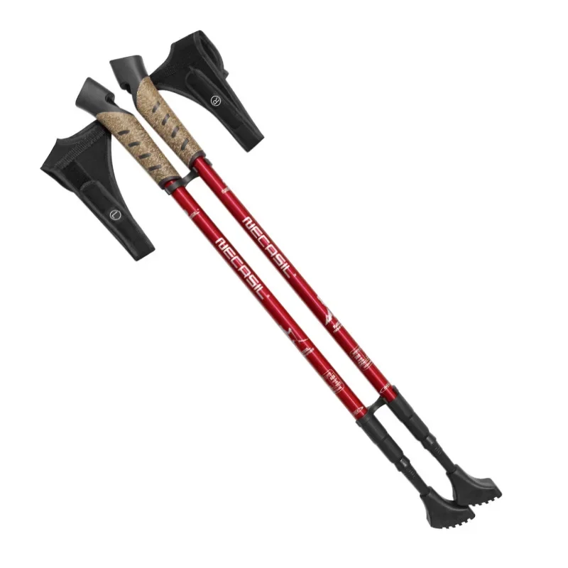 2 bâtons de randonnée télescop - Trekking Pole Carbon avis et prix