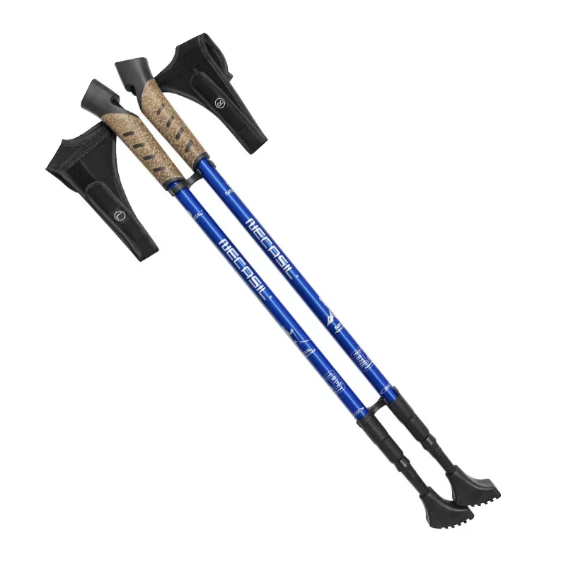 2 bâtons de randonnée télescop - Trekking Pole Carbon avis et prix