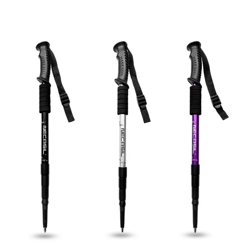Bâtons de trekking réglables a - Trekking Pole Carbon avis et prix